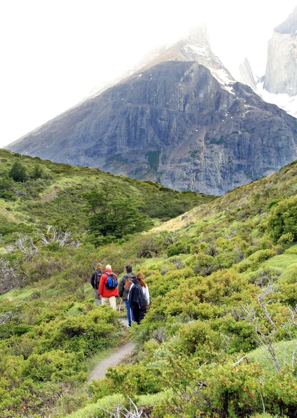 Caminhantes na selva — Fotografia de Stock