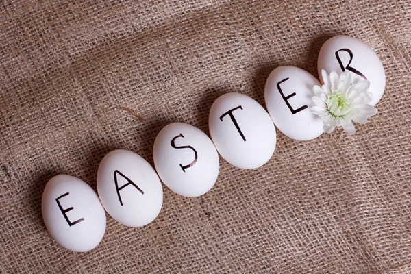 Easter backgroung — Stock Photo, Image