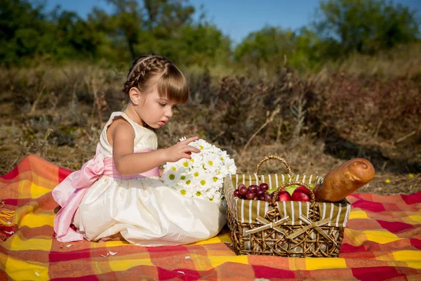 A kislány egy piknik — Stock Fotó