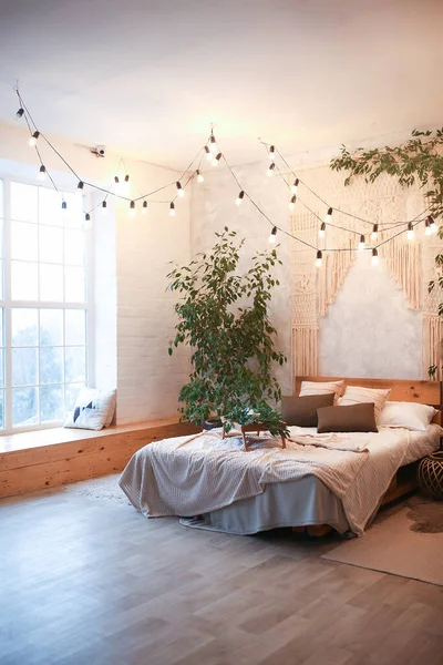 Espace chambre confortable dans un studio de luxe avec une disposition libre dans un style loft avec grande fenêtre panoramique et plante verte . — Photo