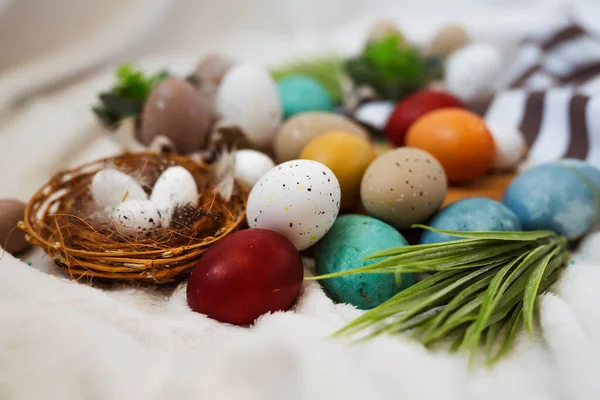 Traditional Easter painted eggs on white background. — Stock Photo, Image