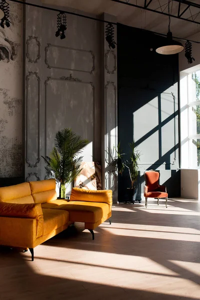Sala de estar loft moderno com teto alto, paredes pretas e cinzentas, piso de madeira, mobiliário de design e planta tropical. — Fotografia de Stock