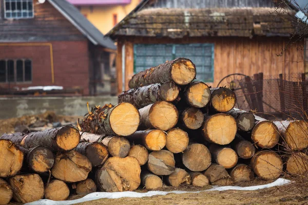 Rönk lucfenyő halom. Fűrészelt fák az erdőből. Fafeldolgozó ipar. Vágott fák közelében a faház előkészítve eltávolítás. — Stock Fotó