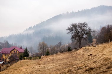 Orman ve sisli bir sabah vadisi. Dağlarda ağaçların tepesinde sis olan mistik çam ormanlarında bir ev.