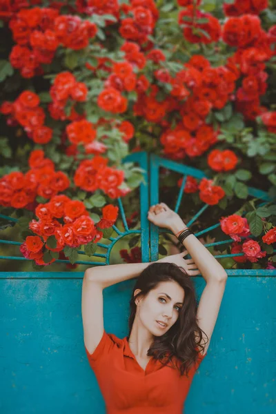 赤いバラを保持官能的なブルネットの女性の美しい肖像画 トーン画像 — ストック写真