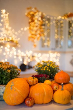 Sonbahar mutfağı. Kırmızı ve sarı yapraklar ve vazoda çiçekler ve beyaz arka planda balkabağı.