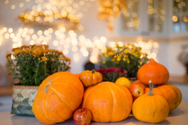 Autumn kitchen interior. Red and yellow leaves and flowers in the vase and pumpkin on white background.