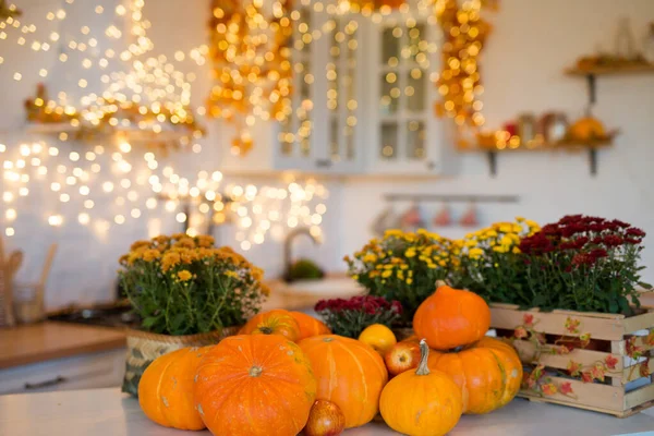 Herbst Küche Interieur Rote Und Gelbe Blätter Und Blüten Der — Stockfoto