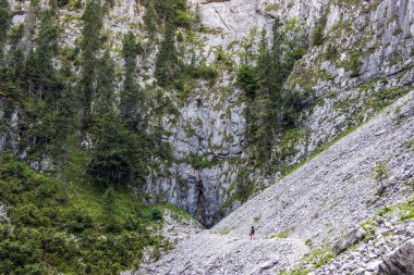 Transilvanya'nın muhteşem vadide