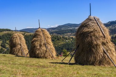 tipik saman balya Transylvania'da