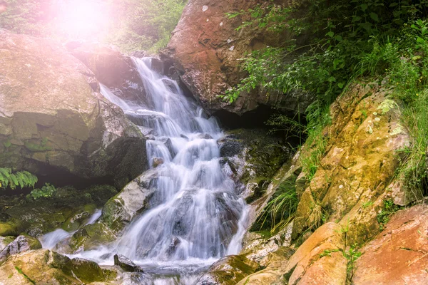 Mountain waterfall. fast stream water in the romania — Stock Photo, Image