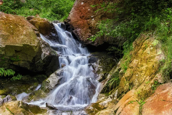 Mountain waterfall. fast stream water in the romania — Stock Photo, Image