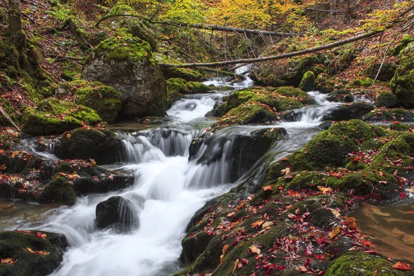 Couleurs automnales d'une cascade en Transylvanie — Photo