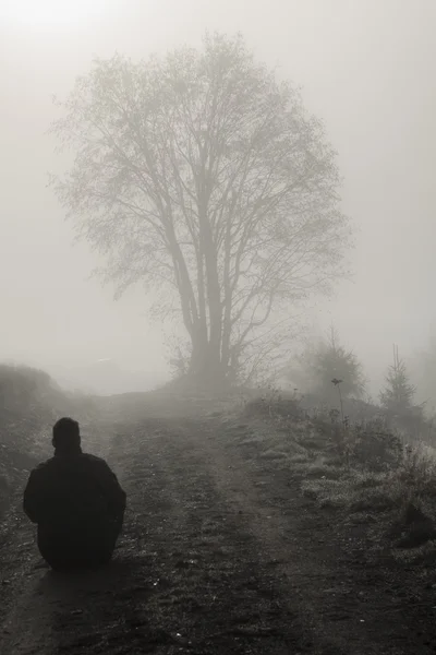 Hombre solitario y árbol en la mañana brumosa —  Fotos de Stock