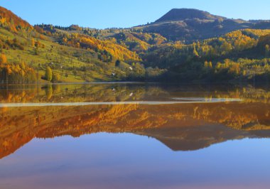 sonbahar yansıtıcı suyun içinde