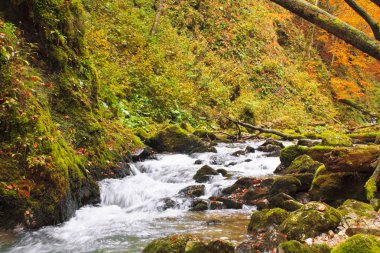herfst kleuren van een waterfal