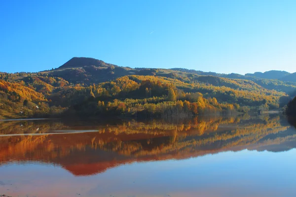 Podzim v reflexní vody — Stock fotografie