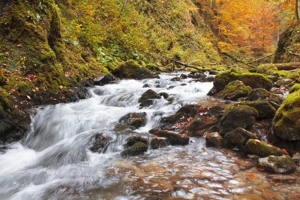瀑布的秋天的颜色 — 图库照片