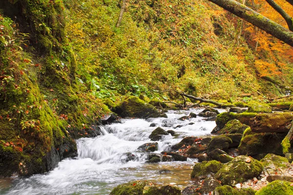 Couleurs d'automne d'un waterfal — Photo