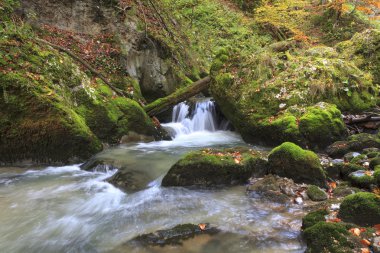 dağ şelale. Hızlı Akış su