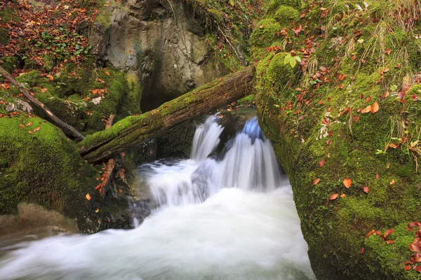 Cachoeira da montanha. água corrente rápida — Fotografia de Stock