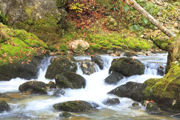 Bergwasserfall. schnelles Strömungswasser — Stockfoto