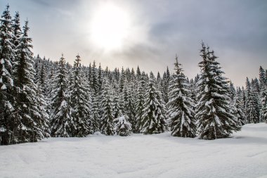 dağların karlı manzarada