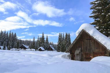 dağların karlı manzarada 