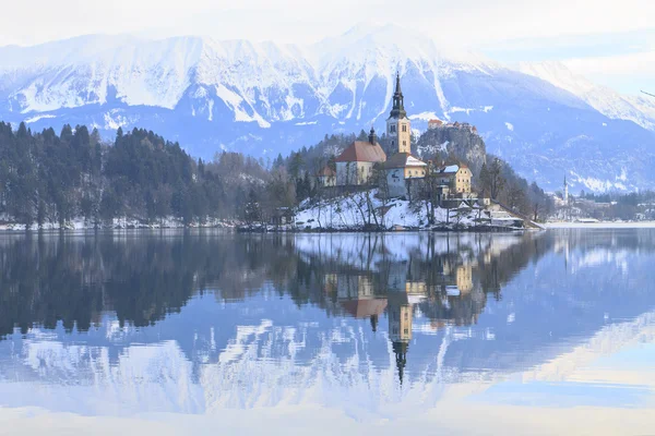 Winter landscape of Bled Lake — Stock Photo, Image