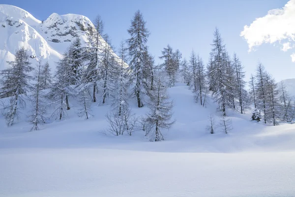 Zasněžená krajina v horách — Stock fotografie