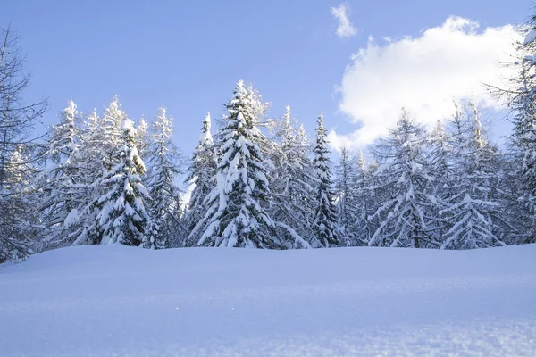 在山的雪景 — 图库照片