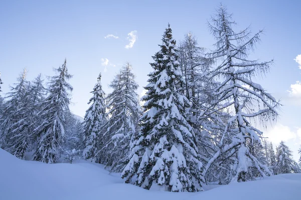 Snowy landscape in the mountains — Stock Photo, Image