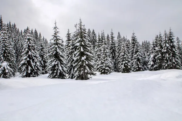 在山的雪景 — 图库照片