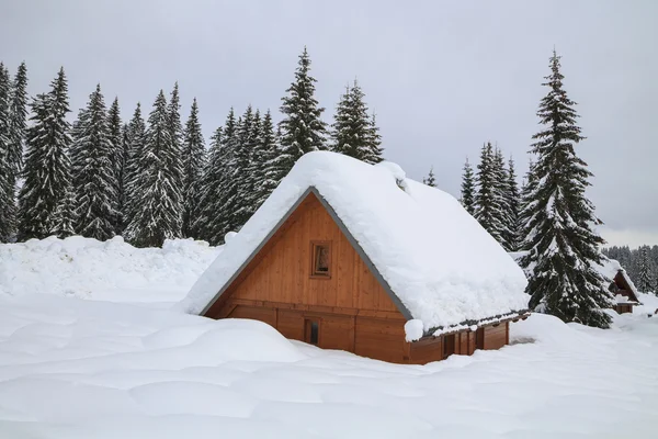 Paisaje nevado en las montañas — Foto de Stock