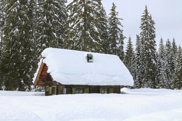 Paisaje nevado en las montañas — Foto de Stock