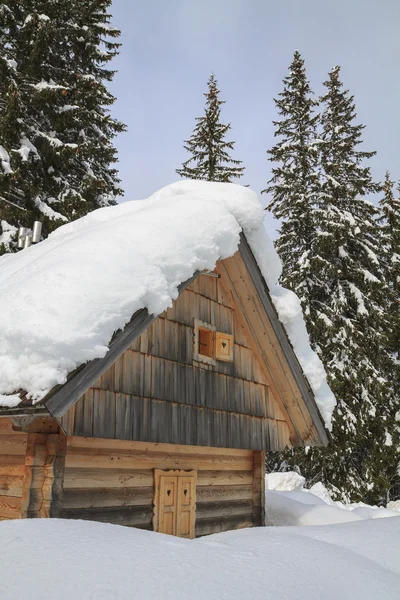 Paysage enneigé dans les montagnes — Photo