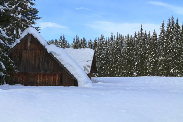 Paisaje nevado en las montañas — Foto de Stock