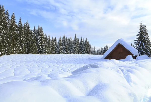 Besneeuwde landschap in de bergen — Stockfoto