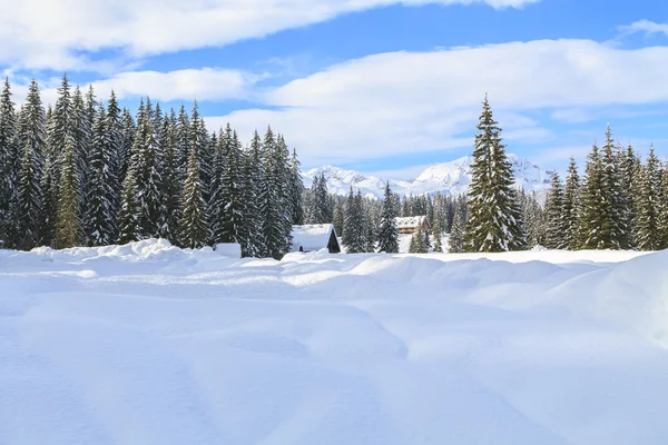 Paysage enneigé dans les montagnes — Photo