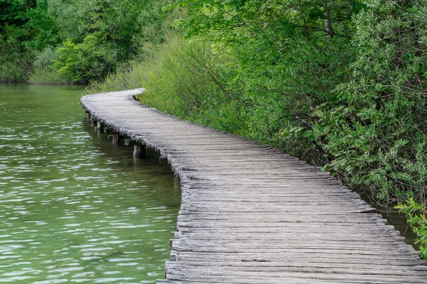 Lesní cestě v Plitvická jezera — Stock fotografie