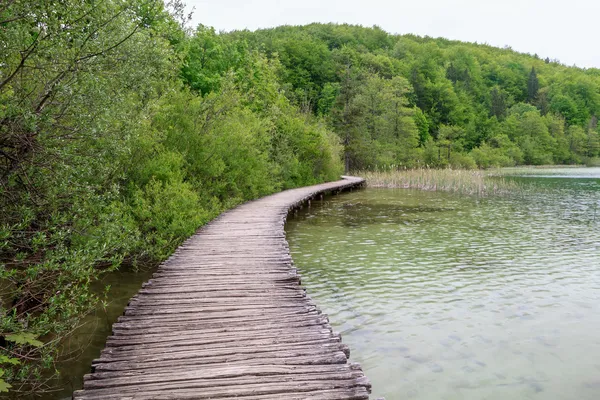 Lesní cestě v Plitvická jezera — Stock fotografie