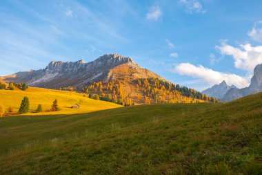 Odle Dağları 'nın eteklerindeki güzel sonbahar renkleri Dolomitlerdeki Seceda Dağları' nın arka planında Trentino Alto Adige, Val di Funes Valley, İtalya 'daki Güney Tyrol
