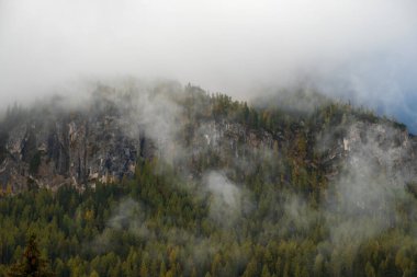 İtalya 'nın kuzeyindeki Dolomitler' de Belluno ilindeki Cortina d 'Ampezzo kasabası yakınlarındaki bir çam ormanının ortasında bir orman kulübesi.