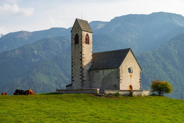 Santa Maddalena Ist Ein Charmantes Bergdorf Villnösser Tal Mit Den — Stockfoto