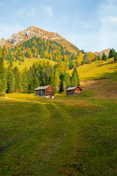 Prachtige Herfstkleuren Aan Voet Van Het Odle Gebergte Het Seceda — Stockfoto