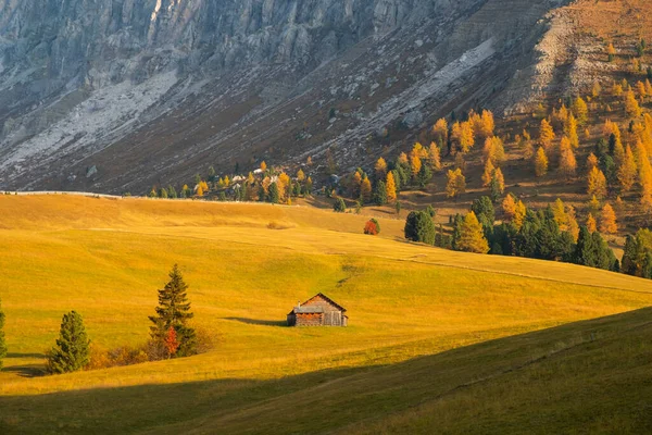 Schöne Herbstfarben Fuße Der Geislergruppe Vor Der Kulisse Der Seceda — Stockfoto