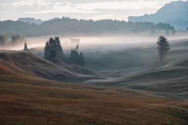 Alpe di Siusi (Seiser Alm) arka planda Sassolungo ve Langkofel dağları ve Seceda dağları ile birlikte güzel sisli gündoğumu olan alp otlağı, İtalya 'da Güney Tyrol