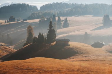 Alpe di Siusi (Seiser Alm) arka planda Sassolungo ve Langkofel dağları ve Seceda dağları ile birlikte güzel sisli gündoğumu olan alp otlağı, İtalya 'da Güney Tyrol