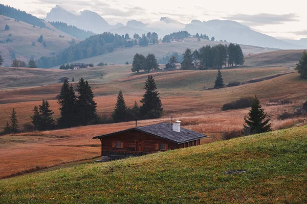 Alpe Siusi Seiser Alm Alpenweide Met Prachtige Zonsopgang Achtergrond Met — Stockfoto