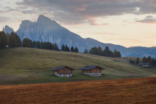 Alpe Siusi Seiser Alm Prado Alpino Con Hermoso Amanecer Brumoso —  Fotos de Stock